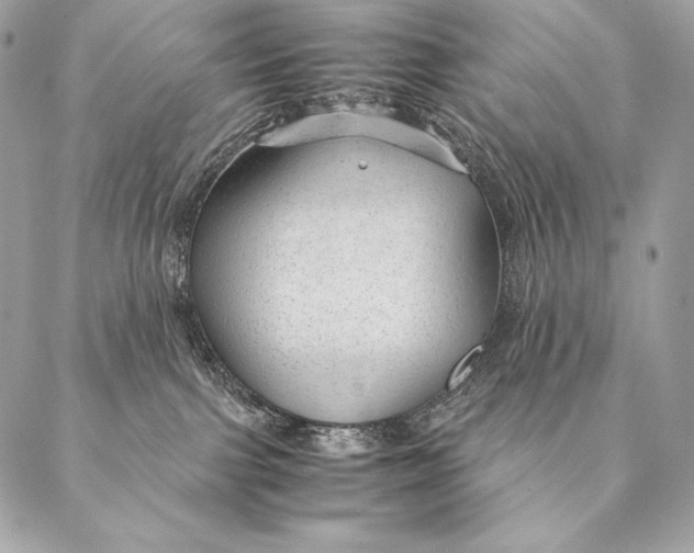 X0000087390091200705111811