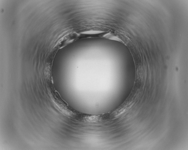 X0000087390092200705111811