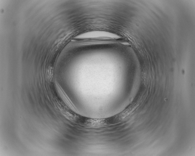 X0000087390093200705111811