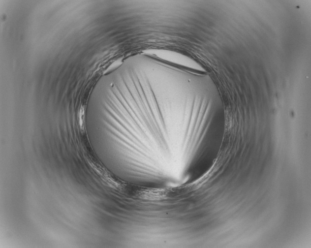 X0000087390094200705111811