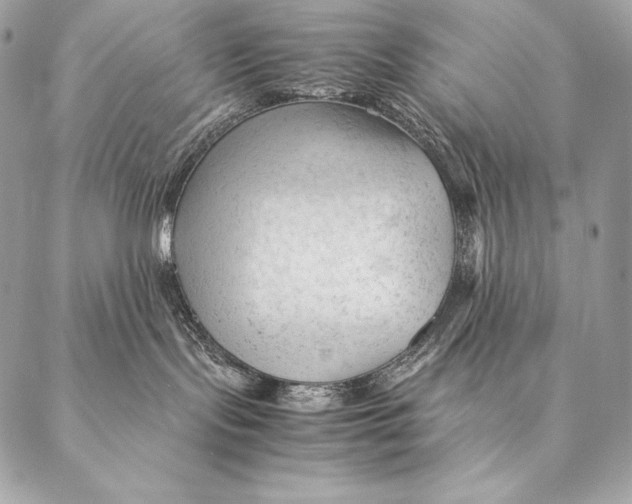 X0000087390095200705111811