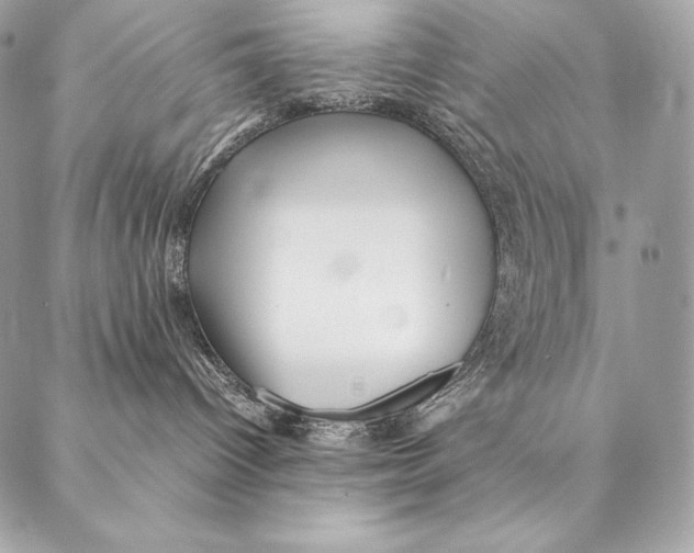 X0000087390096200705111811