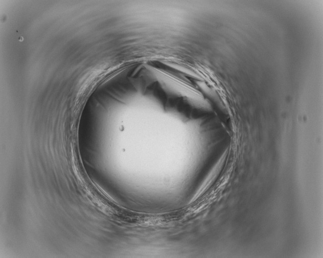 X0000087390097200705111811