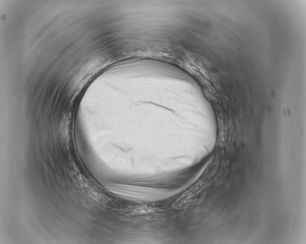 X0000087390098200705111811