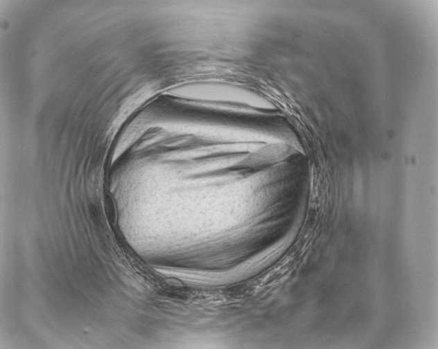 X0000087390099200705111811