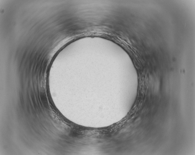 X0000087390100200705111811