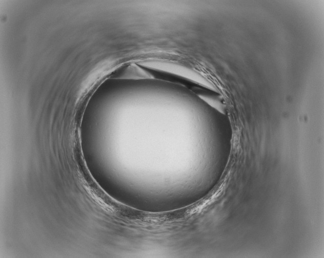 X0000087390101200705111811