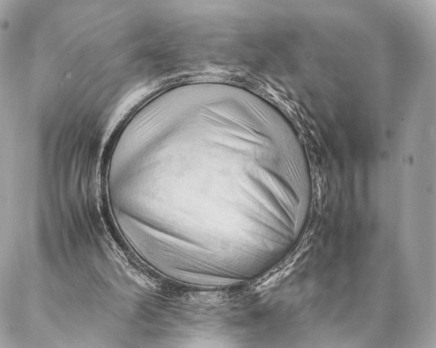 X0000087390102200705111811