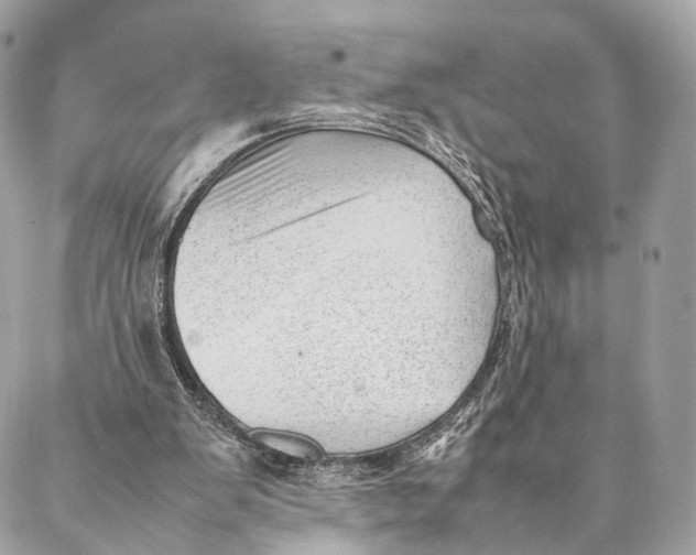 X0000087390103200705111811