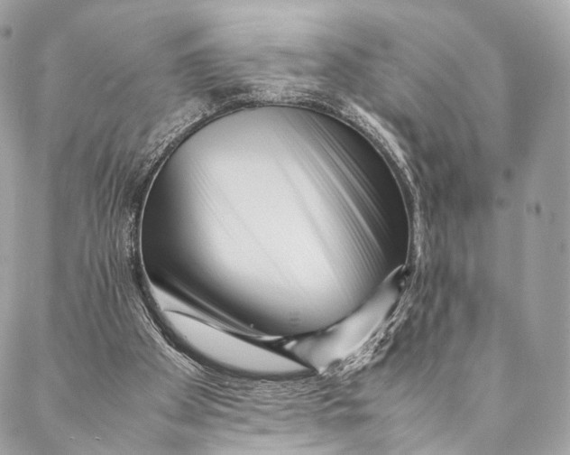 X0000087390105200705111810