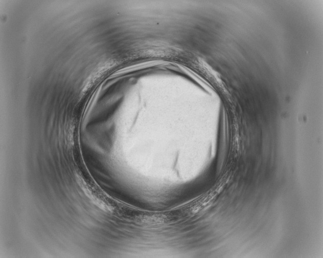 X0000087390106200705111810