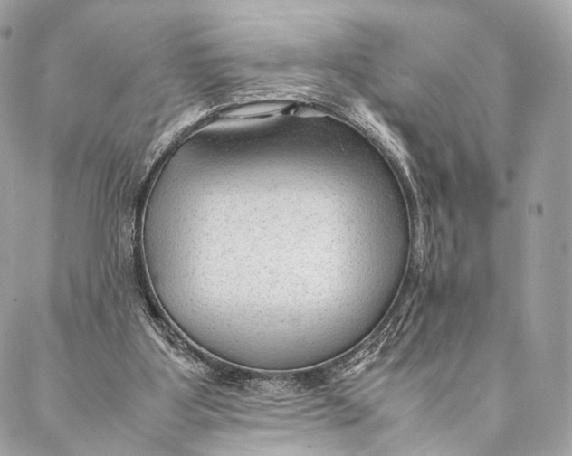 X0000087390107200705111810