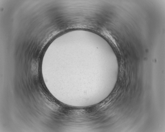 X0000087390108200705111810