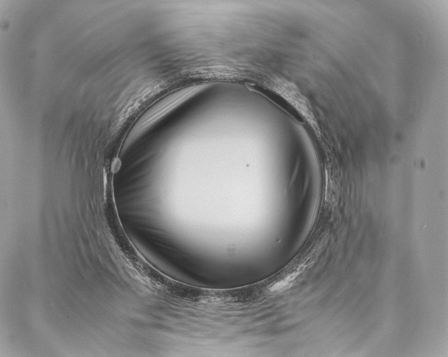 X0000087390109200705111810