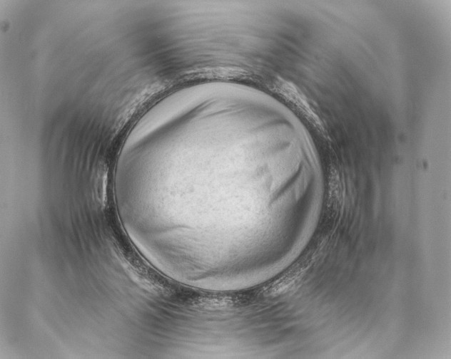 X0000087390110200705111810