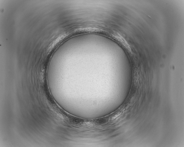 X0000087390111200705111810