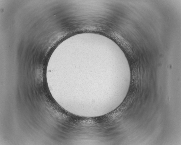 X0000087390112200705111810