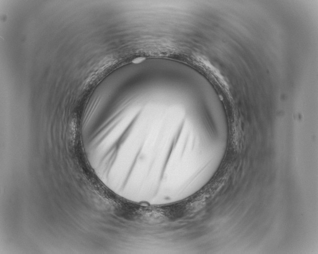 X0000087390113200705111810