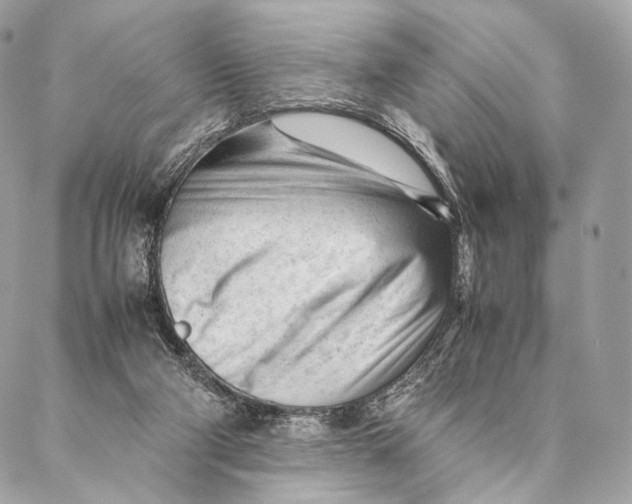 X0000087390114200705111810