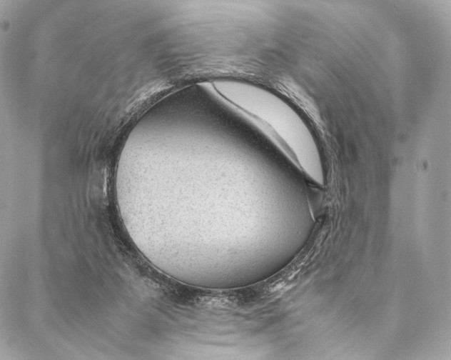 X0000087390115200705111810