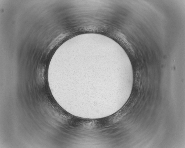 X0000087390116200705111810