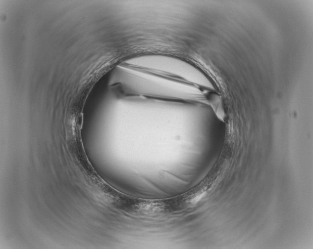 X0000087390117200705111810