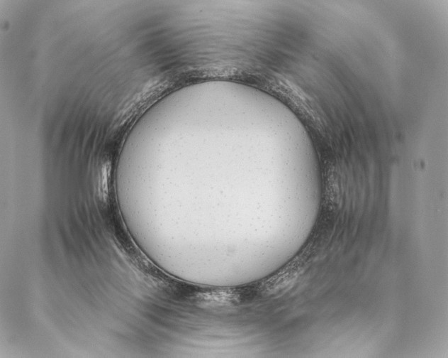 X0000087390118200705111810