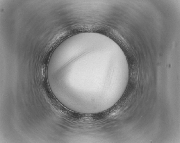 X0000087390119200705111810