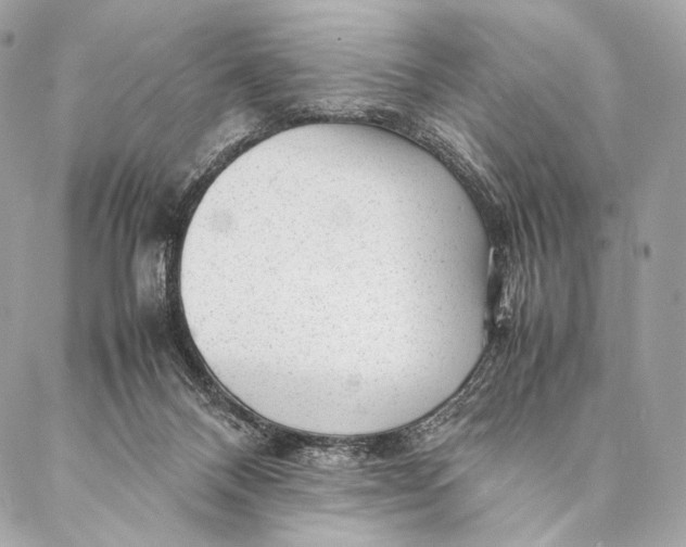 X0000087390120200705111810