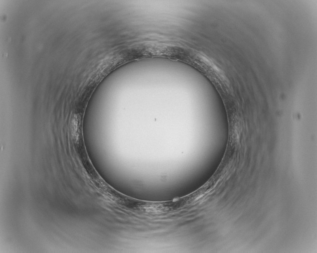 X0000087390121200705111810