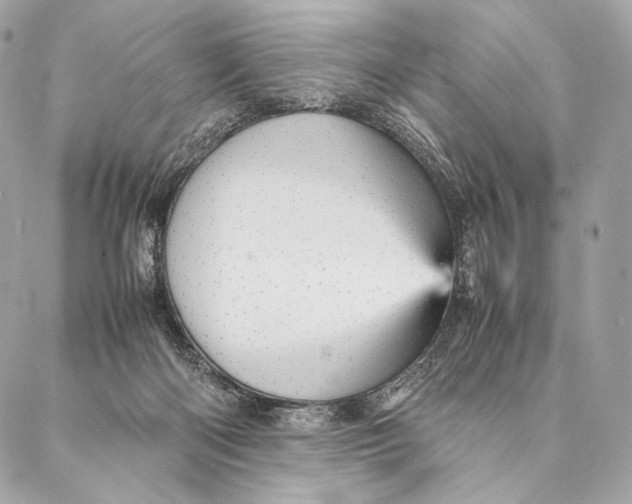 X0000087390122200705111810