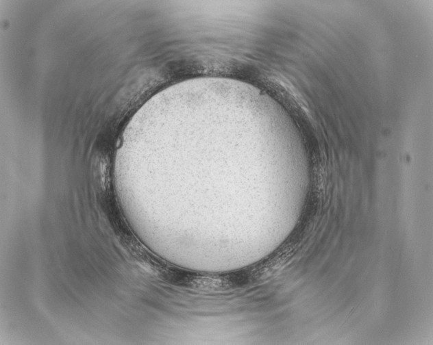 X0000087390123200705111810