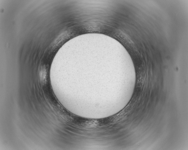 X0000087390124200705111810