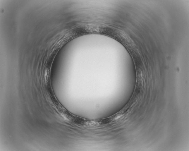 X0000087390125200705111810