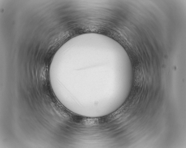 X0000087390126200705111810