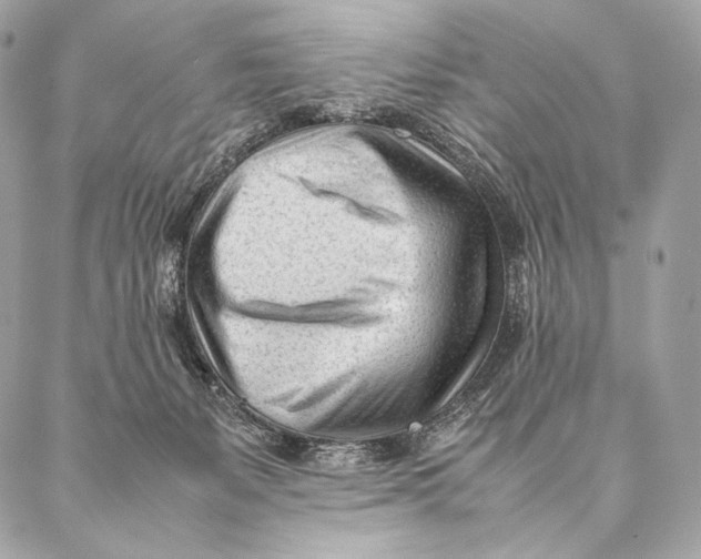 X0000087390127200705111810