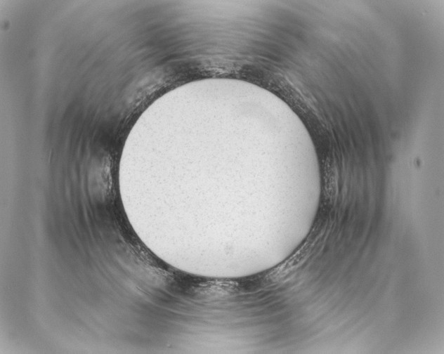 X0000087390128200705111810