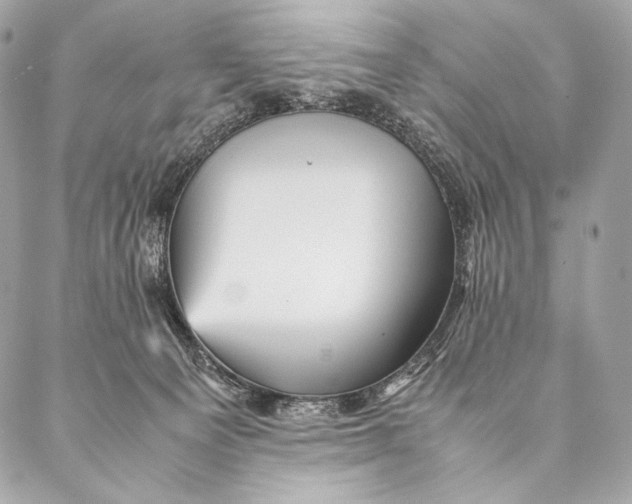 X0000087390129200705111810