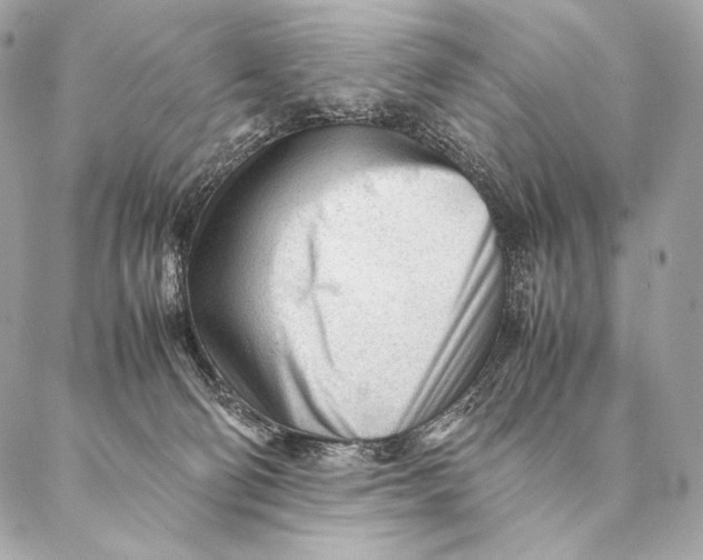 X0000087390130200705111810