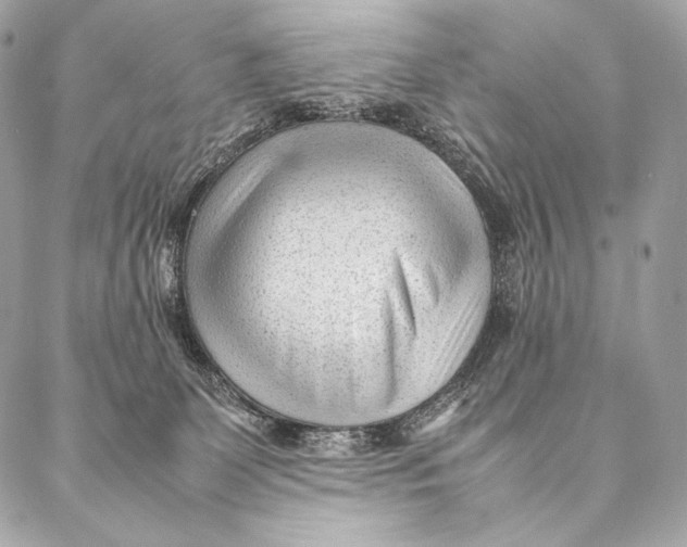 X0000087390131200705111810