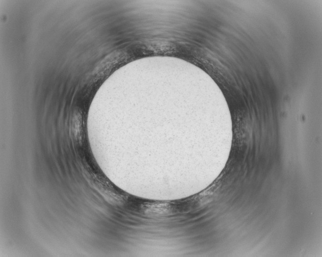 X0000087390132200705111810