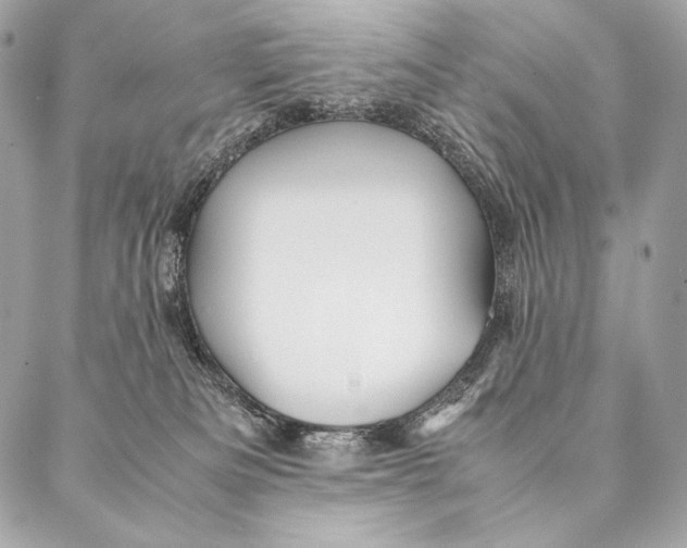 X0000087390133200705111810