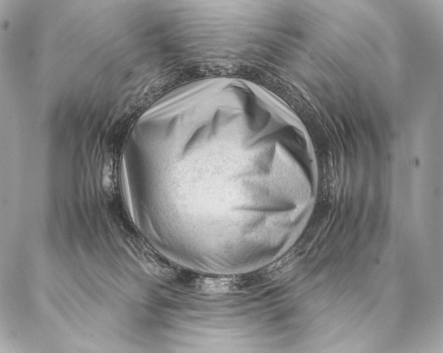 X0000087390134200705111810