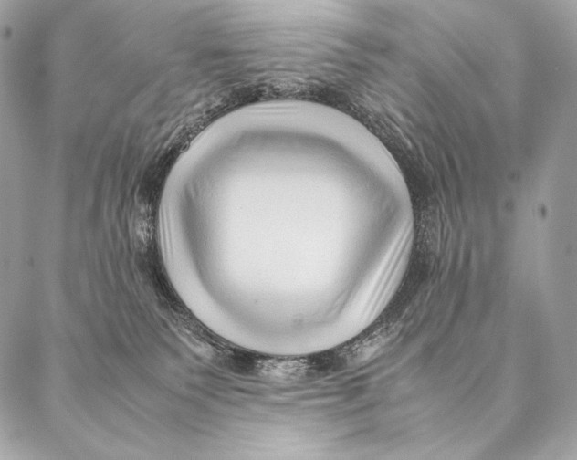 X0000087390135200705111810