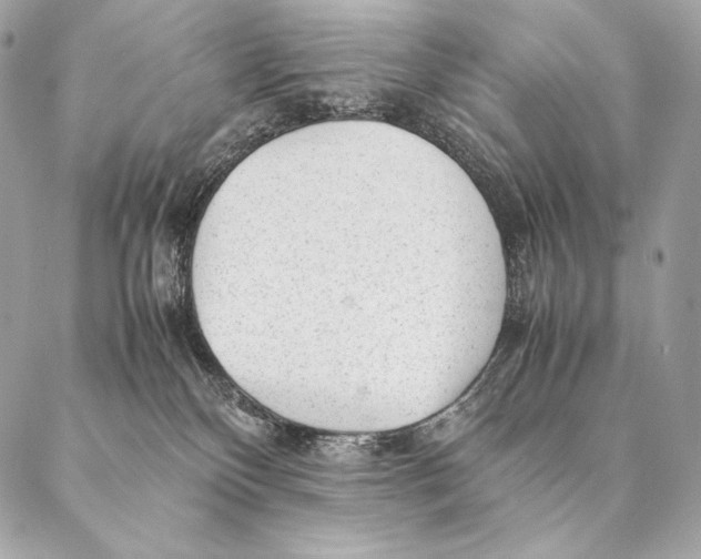 X0000087390136200705111810