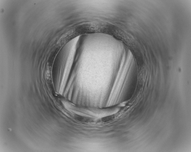 X0000087390137200705111810