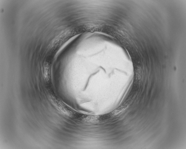 X0000087390138200705111810