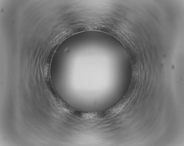 X0000087390139200705111810