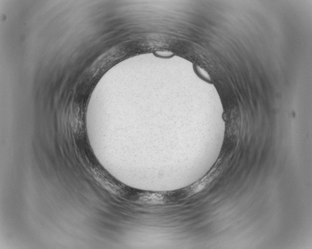 X0000087390140200705111810