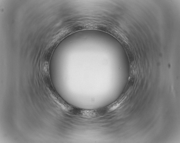 X0000087390141200705111810